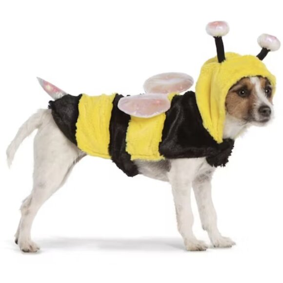 🐝Thrills & Chills Medium LED *Light-Up* BUMBLE BEE Pet Dog Halloween Costume - Picture 1 of 17